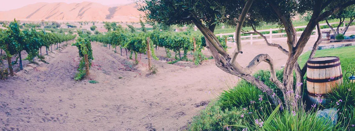 northern and southern california wineries