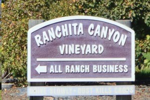 Ranchita Canyon Vineyard in Paso Robles