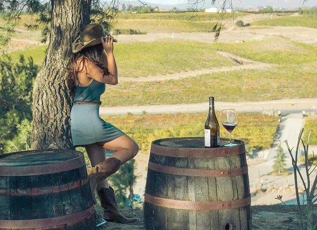 Woman on a hill looking at rolling hills of vineyards in Temecula