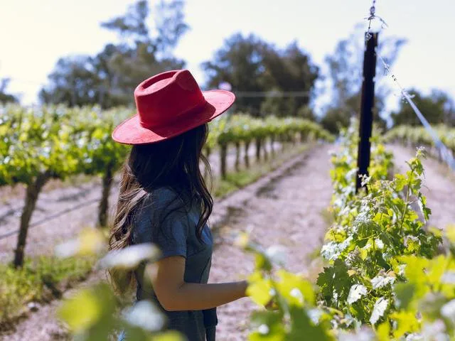Woman in a vibrant red hat walking through sunlit vineyard rows