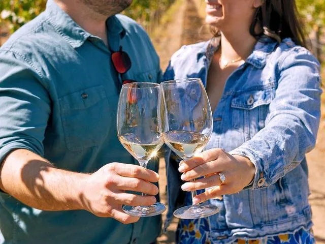 Couple toasting with white wine glasses in a vineyard